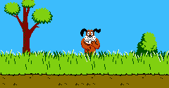 Duck Hunt