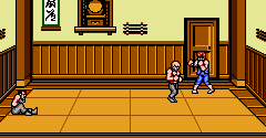 Double Dragon III: The Sacred Stones