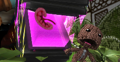 Run Sackboy! Run!