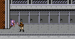 Ninja Gaiden