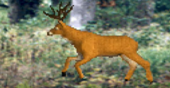 Deer Hunting USA (Sammy USA)